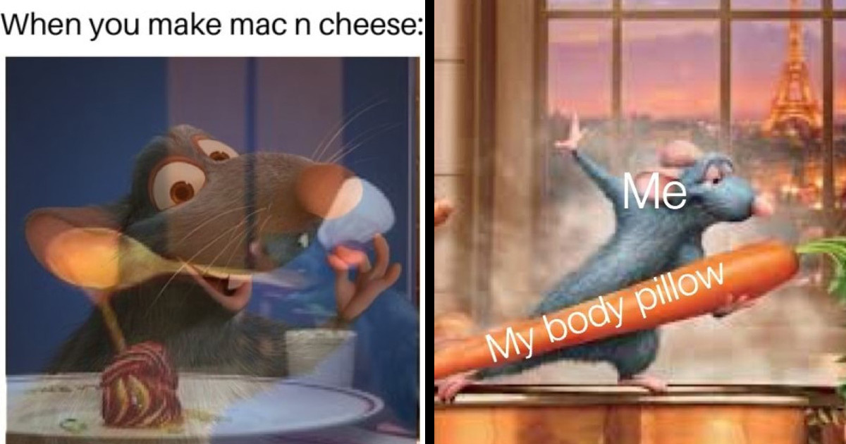 Funniest Ratatouille Memes To Cook Up A Smile Fandomspot