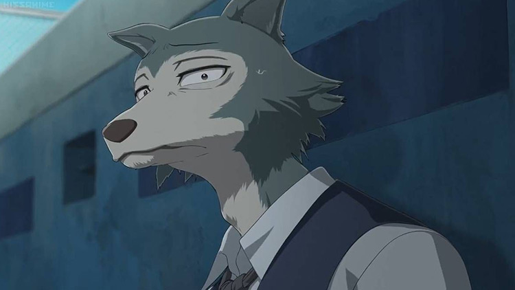 Legoshi from Beastars anime