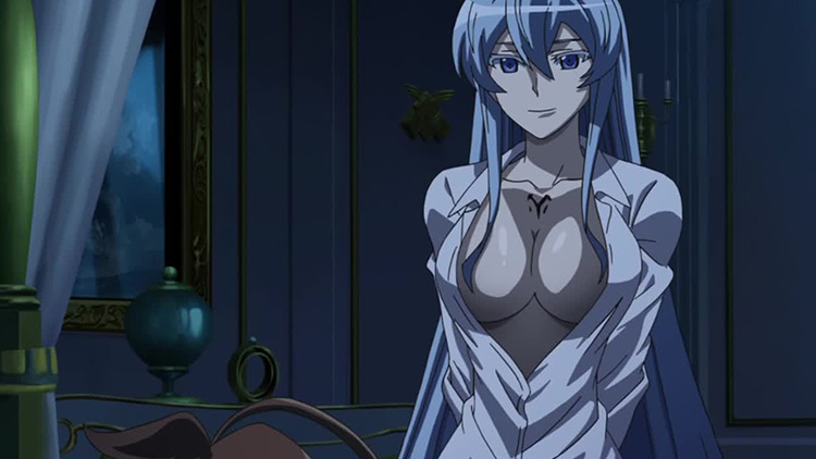 10 Most Attractive Anime Villains