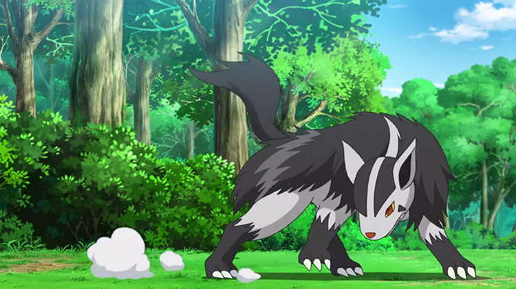 Mightyena in Pokémon anime