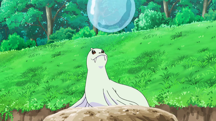 Dewgong Pokémon anime screenshot