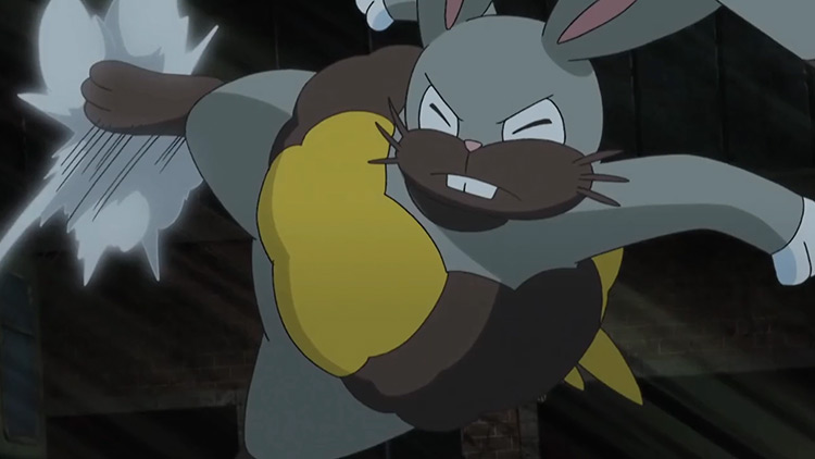 Diggersby Pokémon anime screenshot