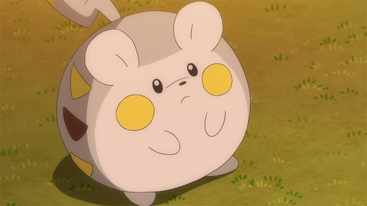 Togedemaru in Pokémon anime