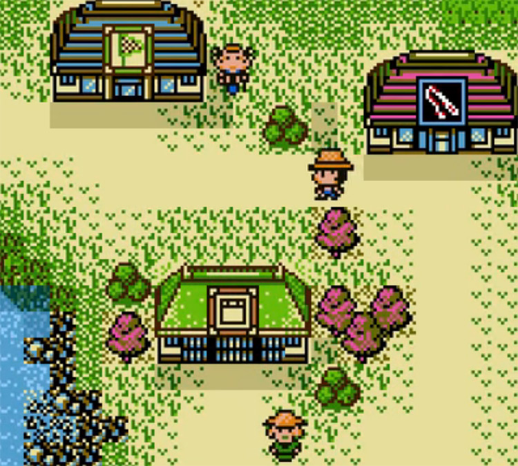 Legend of the River King 2 GBC screenshot