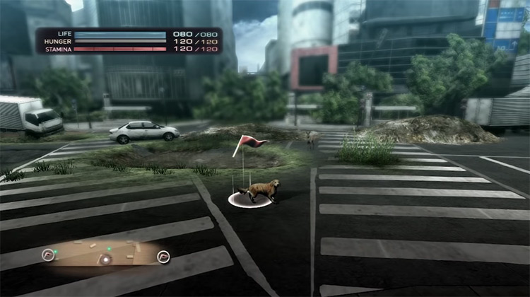 Tokyo Jungle gameplay on PS3