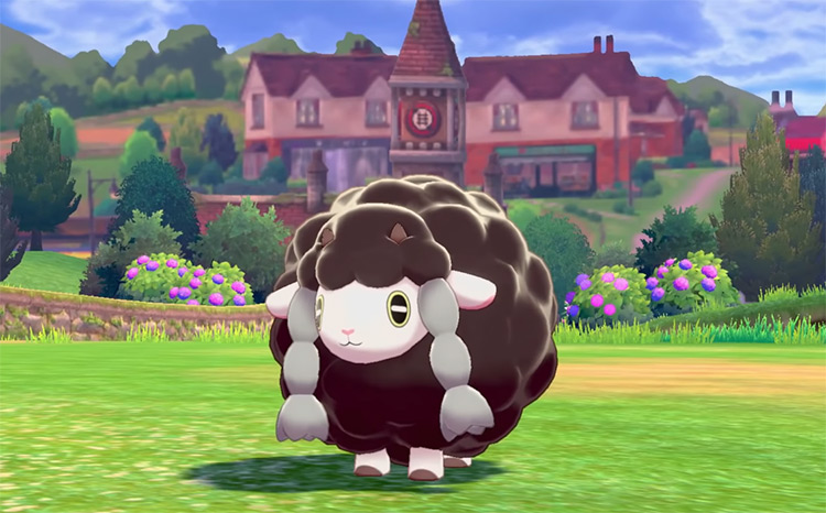 Black-Colored Shiny Wooloo
