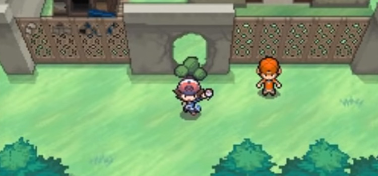 Pokemon Black Screenshot - using Cut