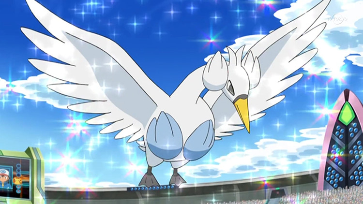 Swanna Dual-Type Pokemon in the anime