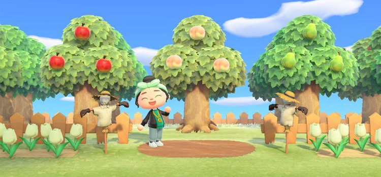 Orchard Fruit Trees Screenshot from ACNH
