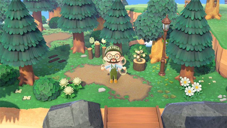 Animal Crossing Entrance Design Idea