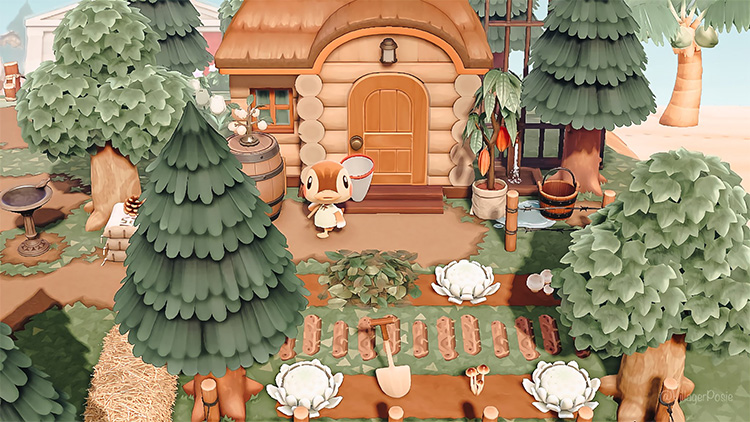 Animal Crossing  New Horizons Yard Ideas  For Your House   Villager Houses    FandomSpot - 69