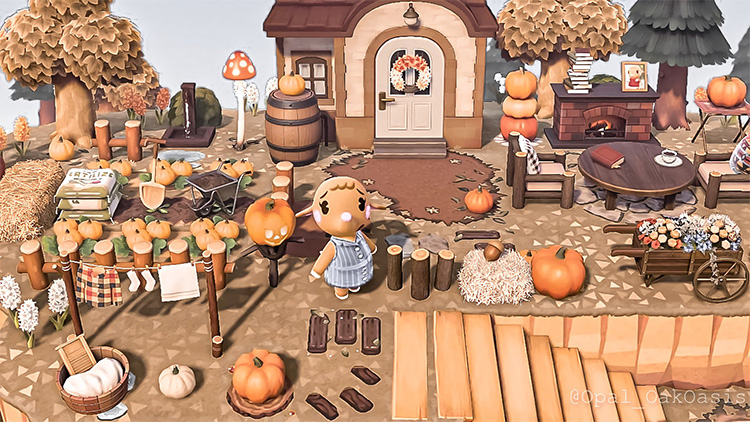 Cottagecore Pumpkin Patch Idea - ACNH