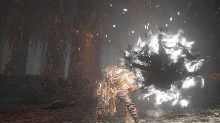 Black Flame Dark Souls 3 screenshot