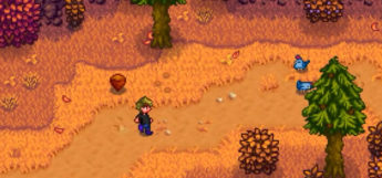 Passing by a Hazelnut in the Backwoods (Stardew Valley)