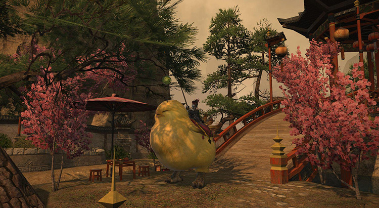 The Fat Chocobo roaming about The Doman Enclave / FFXIV