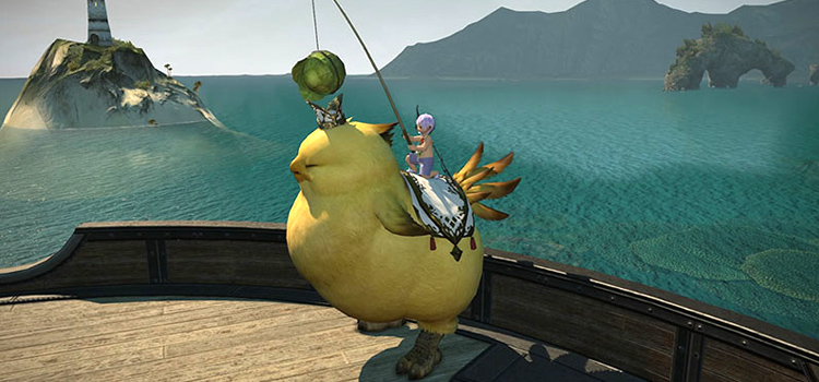 Close-up of Parade Chocobo Mount in FFXIV