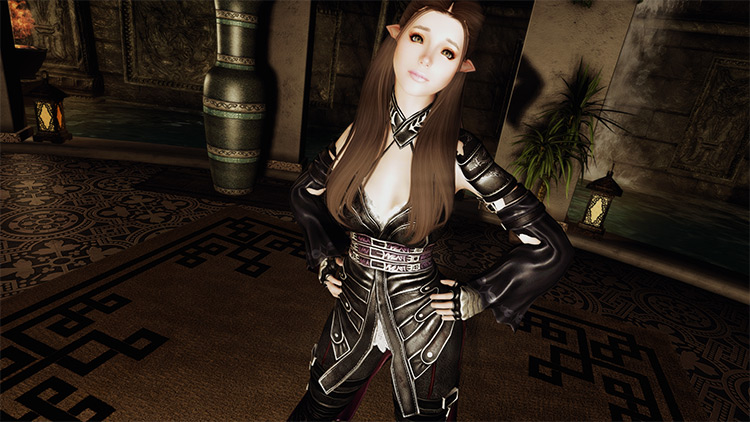 Vampire Leather Armor Skyrim mod