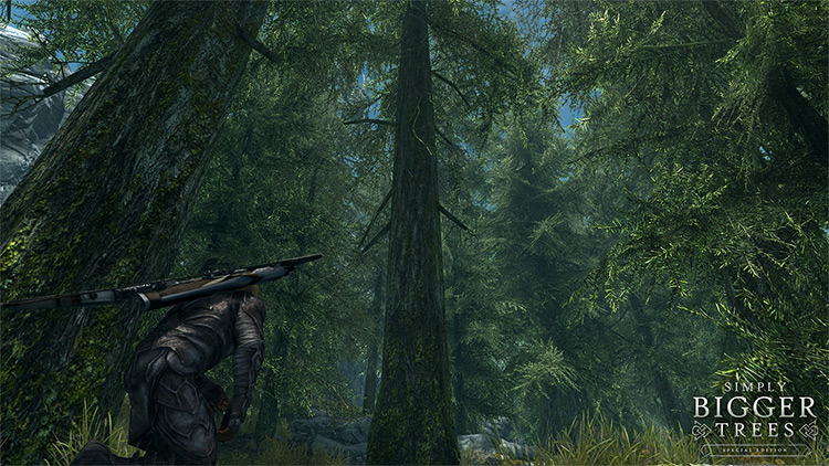 Skyrim  Grass  Trees   Flora Mods  All Free    FandomSpot - 1