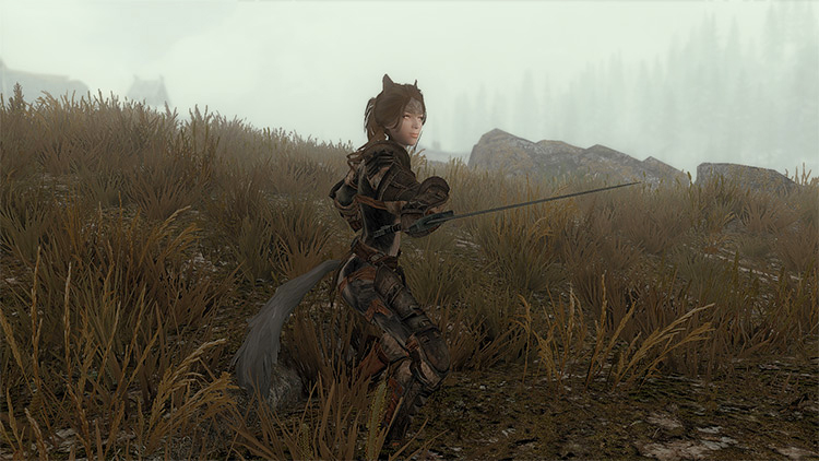 Skyrim Cat Girl Follower Mods  All Free    FandomSpot - 35