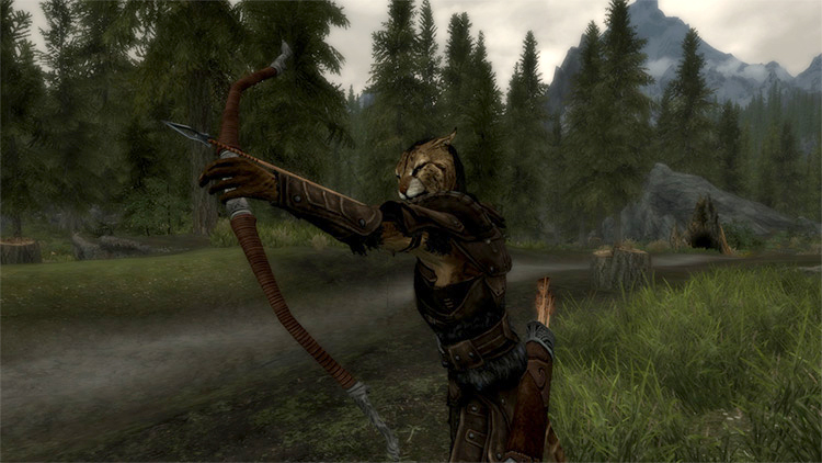 Skyrim Cat Girl Follower Mods  All Free    FandomSpot - 67