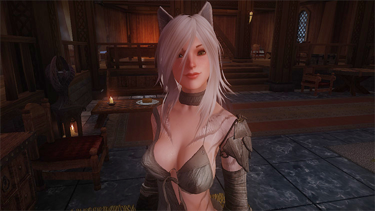 Skyrim Cat Girl Follower Mods  All Free    FandomSpot - 46