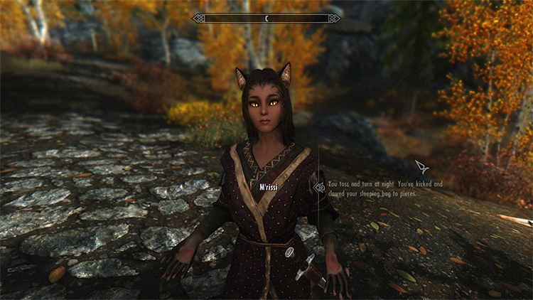 Skyrim Cat Girl Follower Mods  All Free    FandomSpot - 8