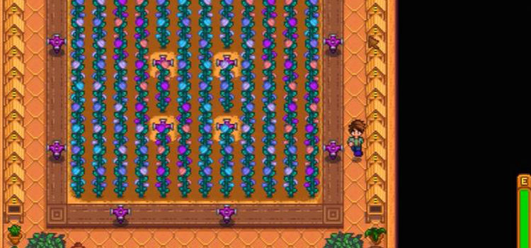 How To Get Fairy Roses in Stardew Valley (And Common Uses)