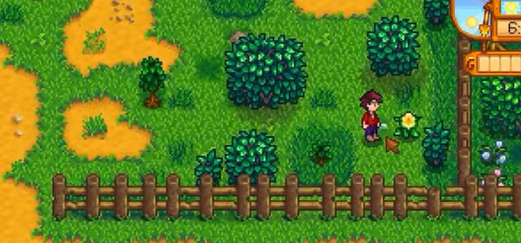 Standing next to a Daffodil in Stardew Valley