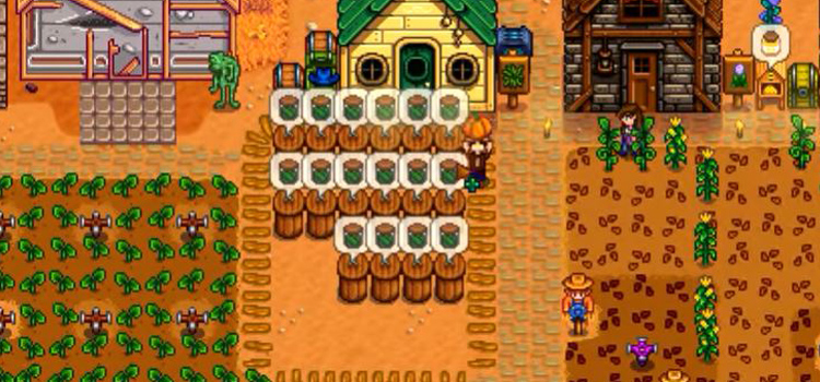 Pickled Pumpkin Field in Stardew Valley