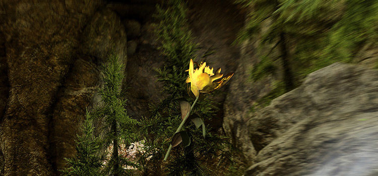 Yellow Mountain Flower Inventory Item (Skyrim Screenshot)