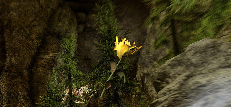 Skyrim Flowers List | Best Flower Site