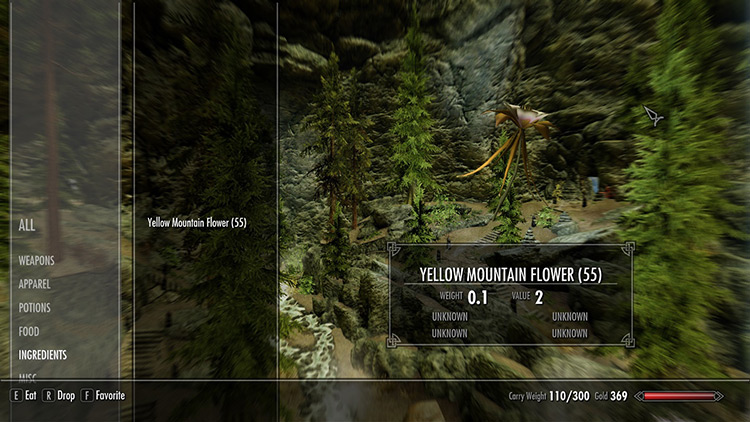 Holding (55) Yellow Mountain Flowers in inventory / Skyrim