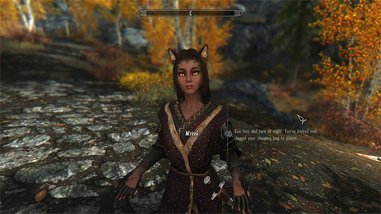 M'rissi's Tails of Troubles mod for Skyrim