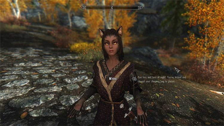 Best Skyrim Waifu Mods  The Ultimate Collection   FandomSpot - 74