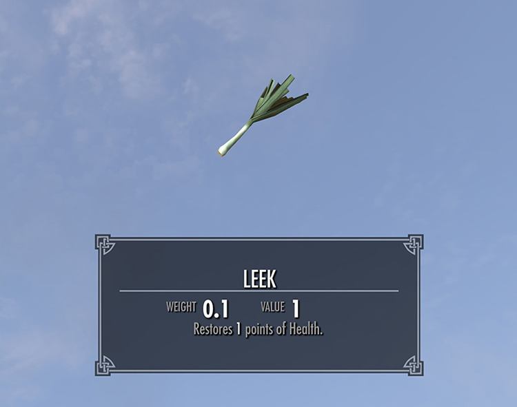 Leek inventory item detail screenshot in Skyrim