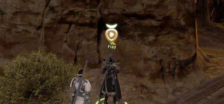 What Happened To Fray in FFXIV?