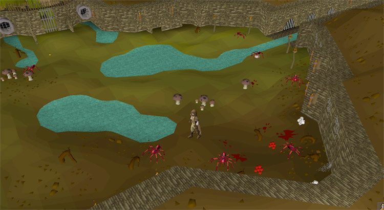 Red Spiders’ Eggs spawns in Varrock Sewers / OSRS