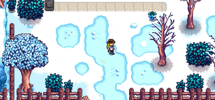 Crystal Fruit Location in the wild (Stardew Valley)