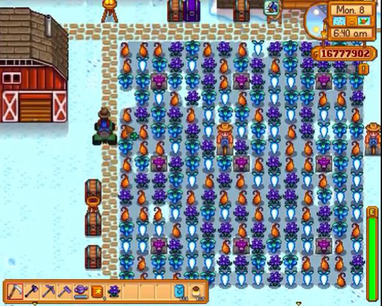 Growing winter seeds for crystal fruits (Stardew Valley)