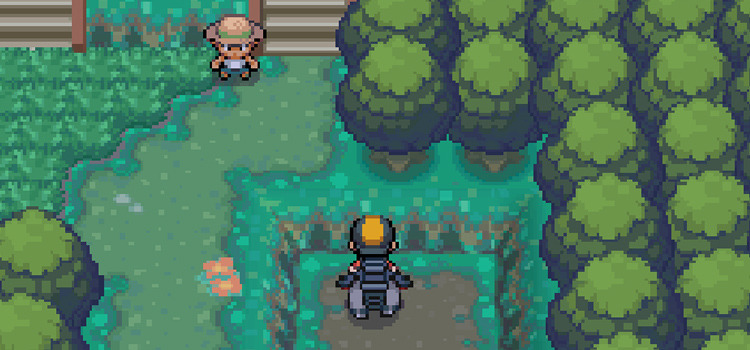 Hidden TinyMushroom in Viridian Forest (Pokémon HG)