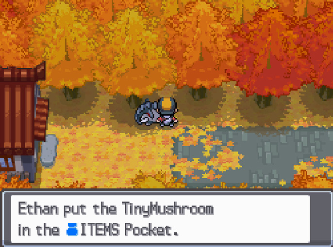 TinyMushroom #1 location outside the Bell Tower / Pokemon HGSS