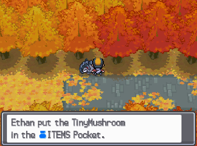 TinyMushroom #2 location outside the Bell Tower / Pokemon HGSS