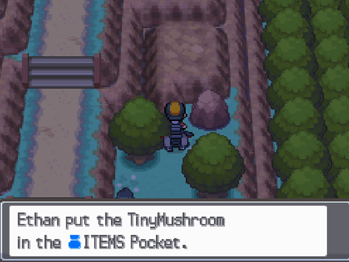 TinyMushroom location in Route 26 / Pokemon HGSS