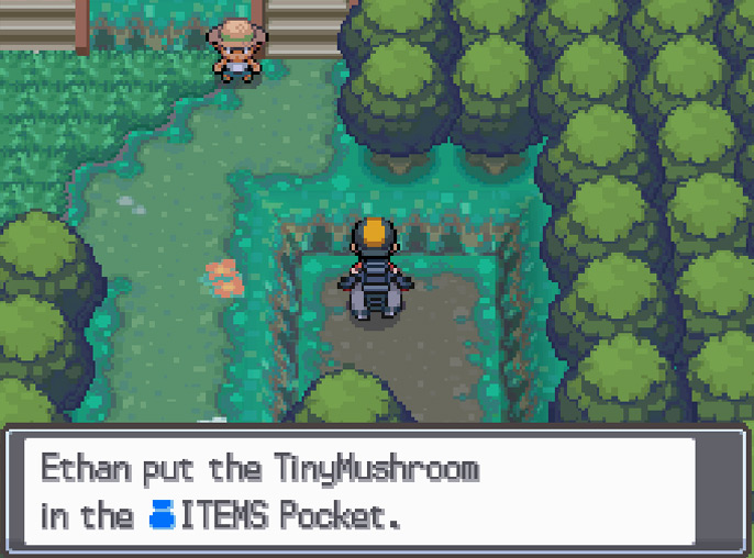 TinyMushroom #1 location in Viridian Forest / Pokemon HGSS