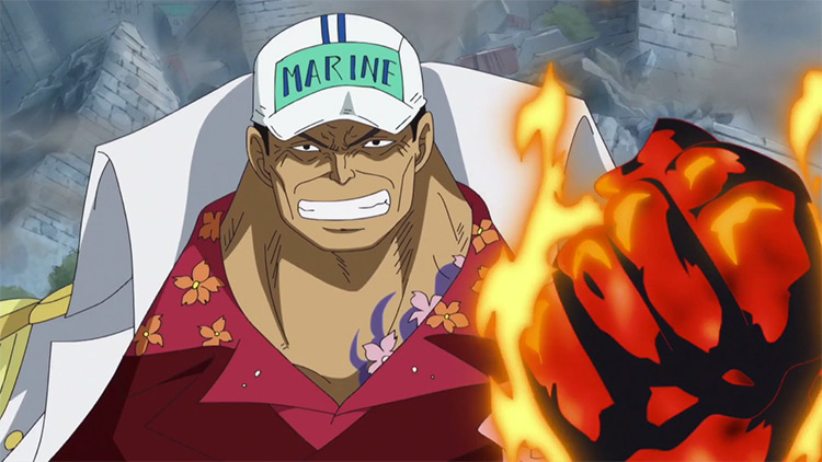 Fleet Admiral Akainu from One Piece