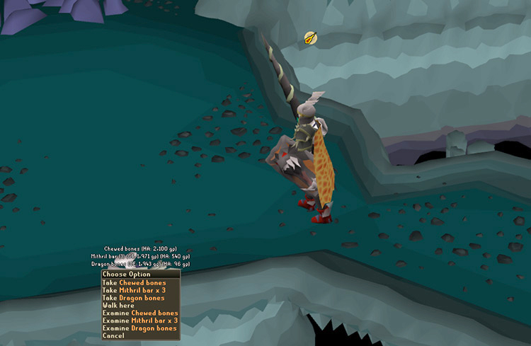 Chewed bones dropped on the ground / OSRS
