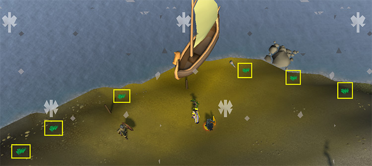 Closest Snape grass spawns on Waterbirth / OSRS