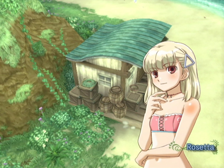 Rosetta Rune Factory Frontier screenshot