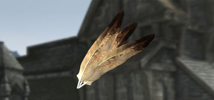 Where Do You Get Hawk Feathers in Skyrim?
