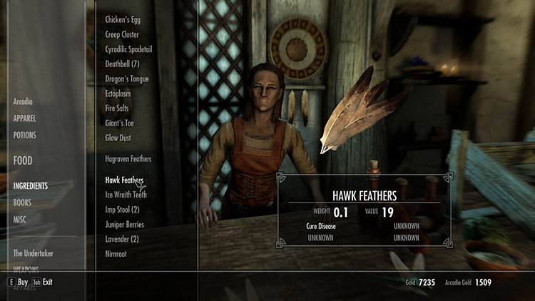 Close-up of Hawk Feathers purchased from an alchemy shop / Skyrim